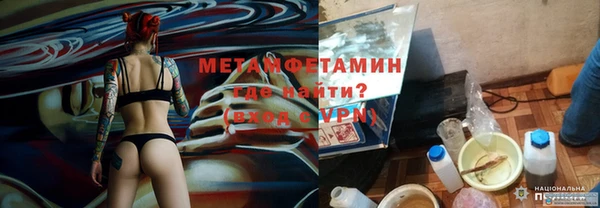 ПСИЛОЦИБИНОВЫЕ ГРИБЫ Богданович