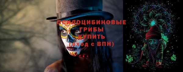 дживик Нягань