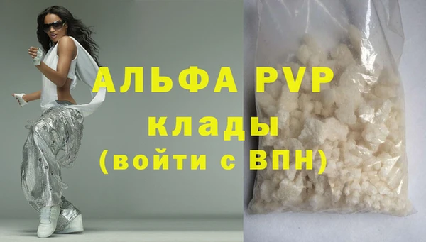 ПСИЛОЦИБИНОВЫЕ ГРИБЫ Богданович