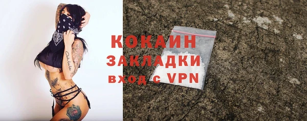 mdpv Богородск