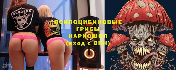 ПСИЛОЦИБИНОВЫЕ ГРИБЫ Богданович