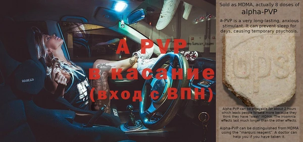 ПСИЛОЦИБИНОВЫЕ ГРИБЫ Богданович