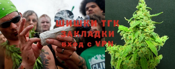 mdpv Богородск