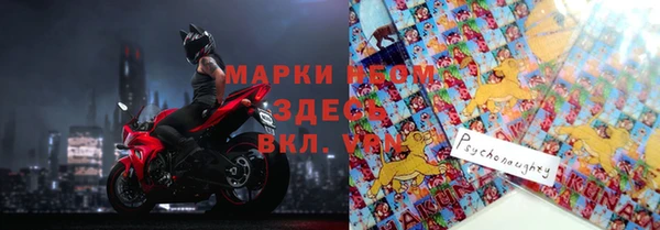 ПСИЛОЦИБИНОВЫЕ ГРИБЫ Богданович