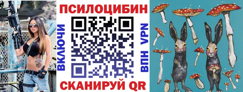Псилоцибиновые грибы Cubensis  даркнет состав  Горно-Алтайск 